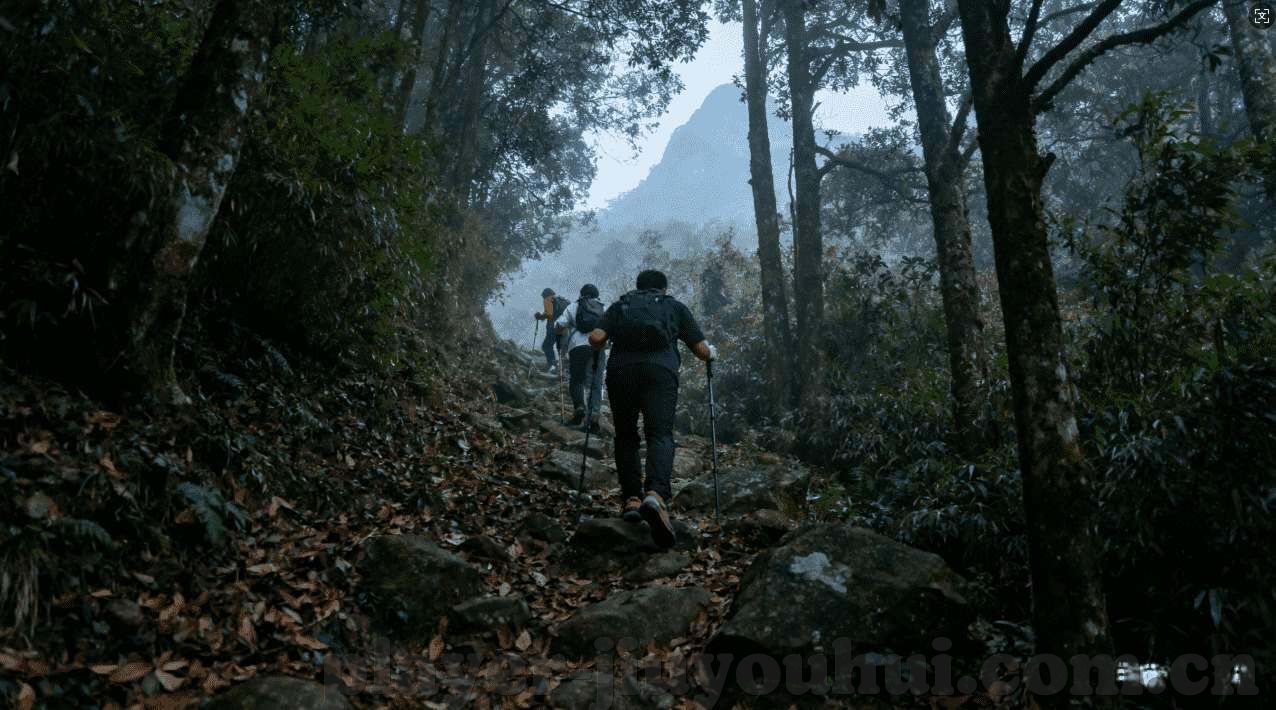 百万财神水果机破解版-解锁财富之门，百万财神水果机破解版揭秘