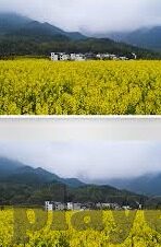 乐鱼体育官网网站-乐鱼体育，开启多元化体育娱乐新时代