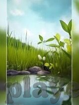 足球新浪比分直播-足球新浪比分直播，球迷的实时观赛指南与情感纽带